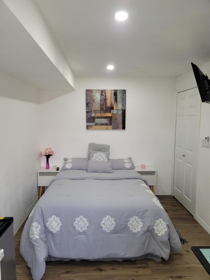 Cozy Studio Apt Orlando Eksteriør billede